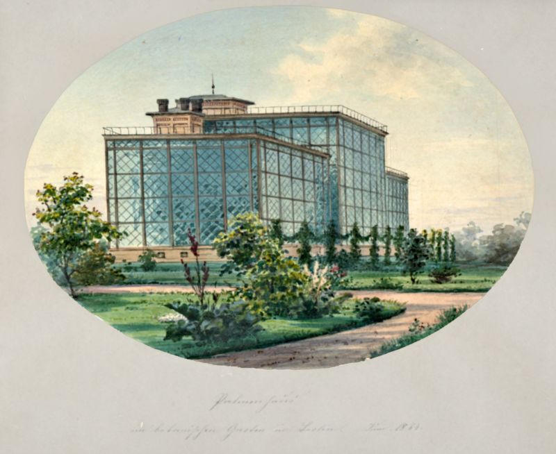 postkarte palmenhaus1